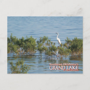 Grand Lake Oklahoma post card Egret
