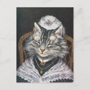 Grand-mère chat postcard