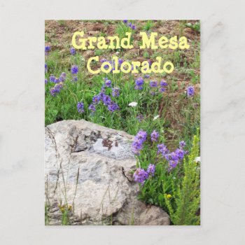 Grand Mesa  Colorado Postcard by bluerabbit at Zazzle