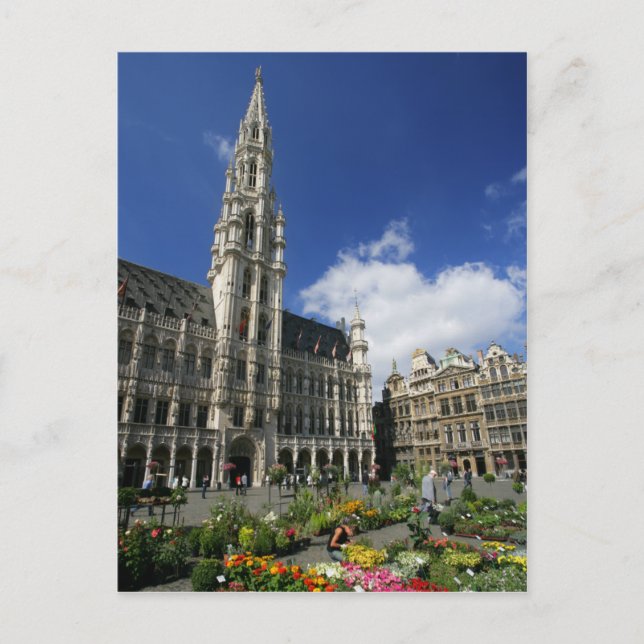 grand place, brussels belgium postcard (Front)