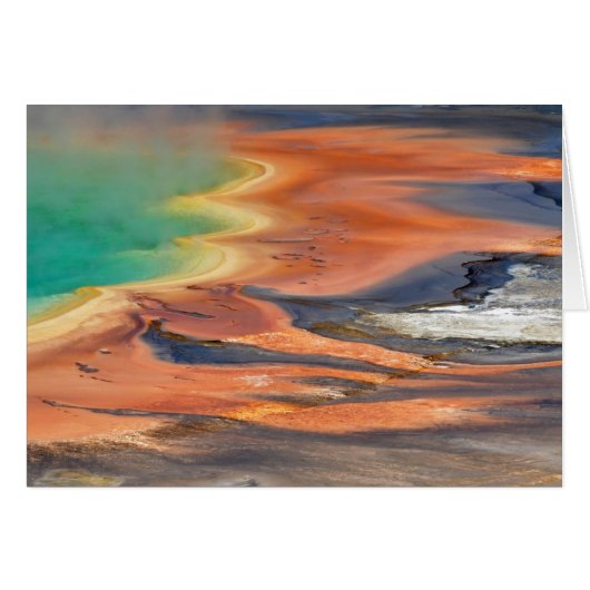 Grand Prismatic Spring Runoff Cards (Front Horizontal)