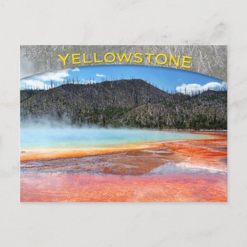 Grand Prismatic Spring Yellowstone National Park Postcard