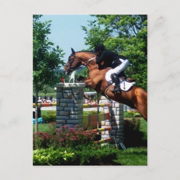Grand Prix Horse Postcards by HorseStall at Zazzle