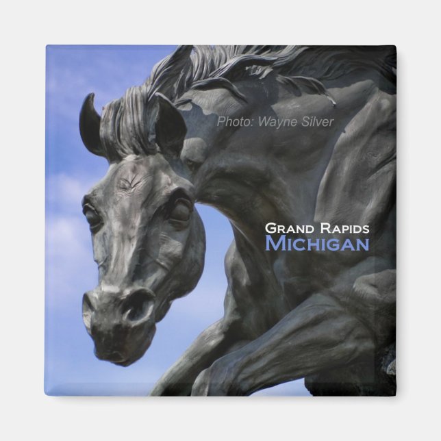 Grand Rapids Michigan Magnet Travel Souvenir (Front)