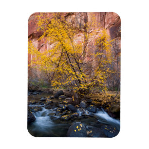 Grand Staircase-Escalante National Monument Magnet