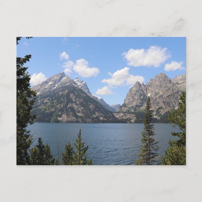Grand Teton Mountains and Jenny Lake Postcard (Front)