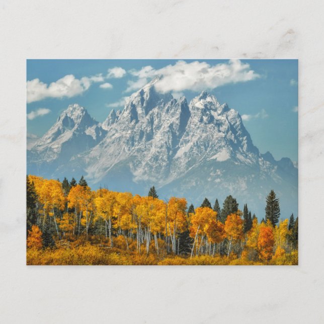 Grand Teton Mountains in the Fall Postcard (Front)