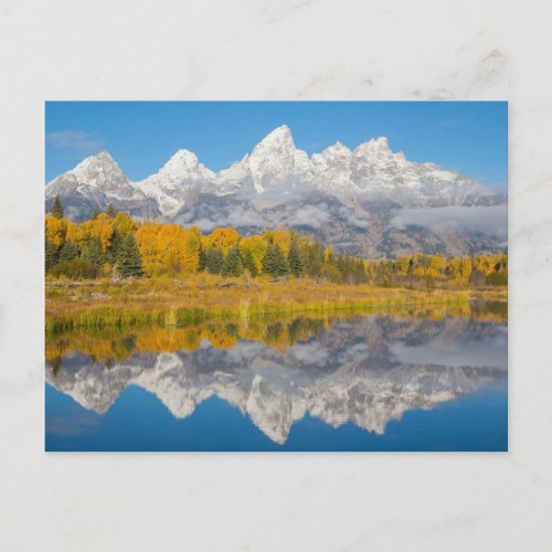 Grand Teton Mountains Wyoming Postcard