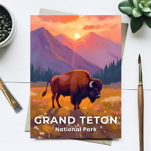 Grand Teton National Park Bison Wyoming Travel Postcard