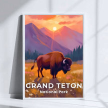Grand Teton National Park | Bison Wyoming Travel