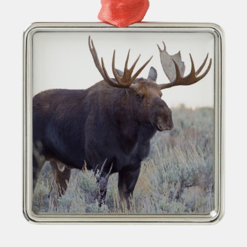 Grand Teton National Park Bull Moose Metal Ornament