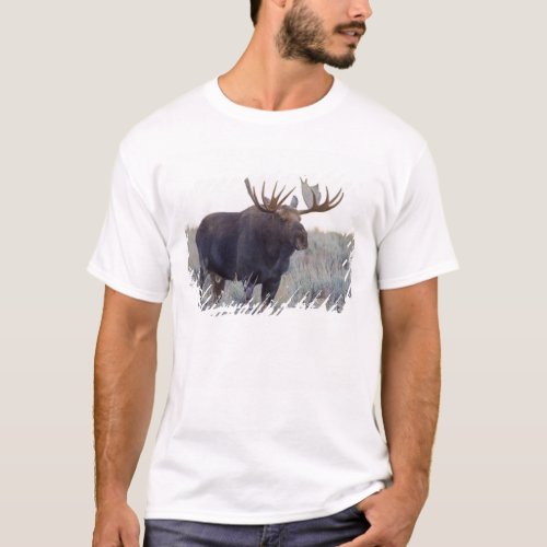 Grand Teton National Park Bull Moose T_Shirt