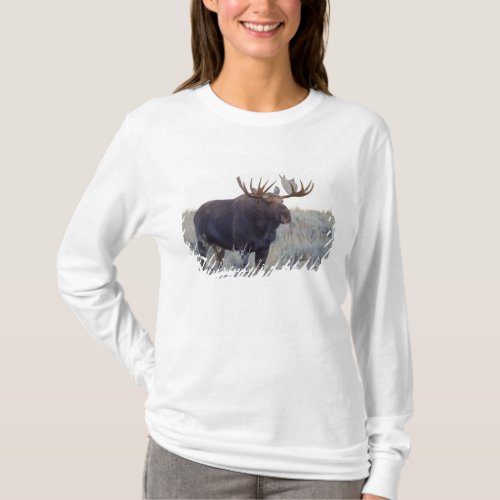 Grand Teton National Park Bull Moose T_Shirt