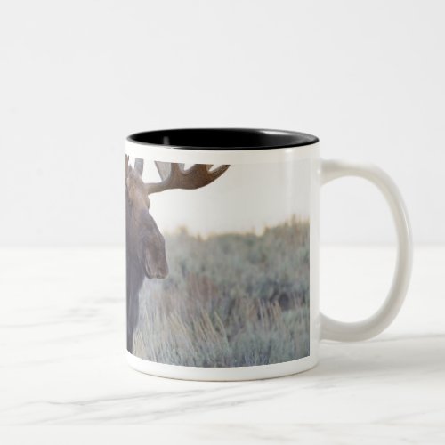 Grand Teton National Park Bull Moose Two_Tone Coffee Mug