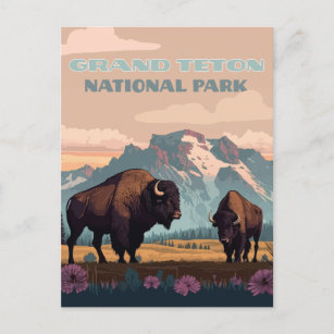 Grand Teton National Park Jackson Wyoming Mountain Postcard