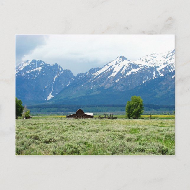 Grand Teton National Park Postcard (Front)