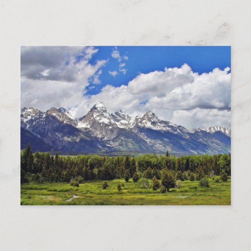 Grand Teton National Park Postcard