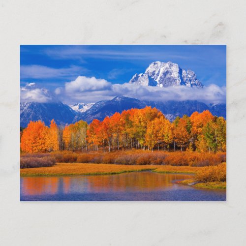 Grand Teton National Park  Wyoming Postcard