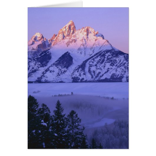 GRAND TETON NATIONAL PARK, WYOMING. USA. Fog & (Front)