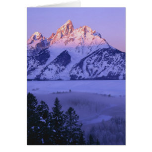 GRAND TETON NATIONAL PARK, WYOMING. USA. Fog & Cards