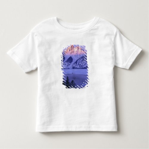 GRAND TETON NATIONAL PARK WYOMING USA Fog  Toddler T_shirt