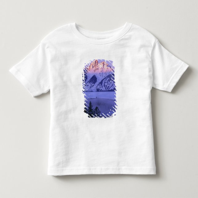 GRAND TETON NATIONAL PARK, WYOMING. USA. Fog & Toddler T-shirt (Front)