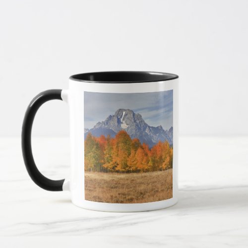 Grand Teton NP Mount Moran and aspen trees Mug