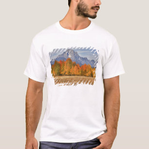 Grand Teton NP, Mount Moran and aspen trees T-Shirt