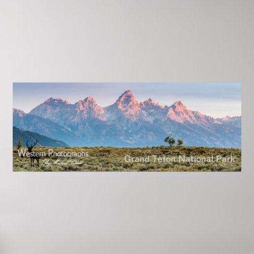 Grand Teton Panorama Poster