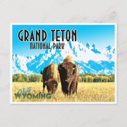 Grand Teton Park Wyoming Vintage Travel Postcard