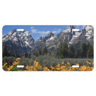 Grand Teton Springtime Souvenir Photo License Plate
