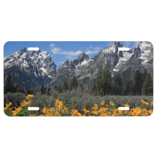 Grand Teton Springtime Souvenir Photo License Plate