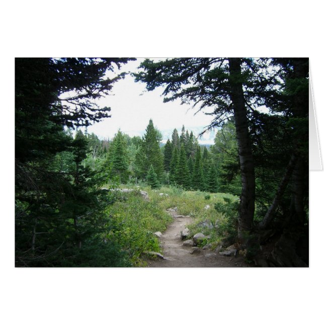 Grand Teton Trail Cards (Front Horizontal)