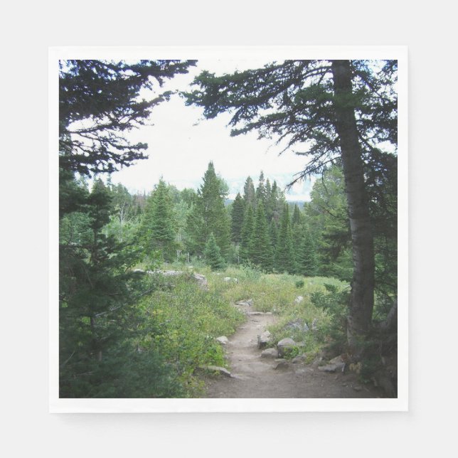 Grand Teton Trail Paper Napkins (Front)