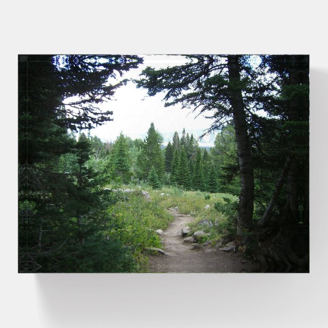 Grand Teton Trail Paperweight (Front)
