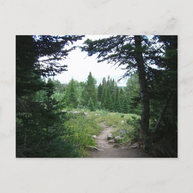 Grand Teton Trail Postcard (Front)