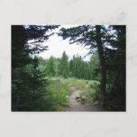 Grand Teton Trail Postcard