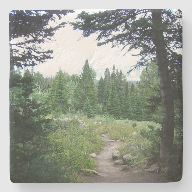 Grand Teton Trail Stone Coaster (Front)
