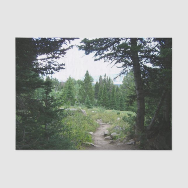 Grand Teton Trail Tissue Paper (Front)