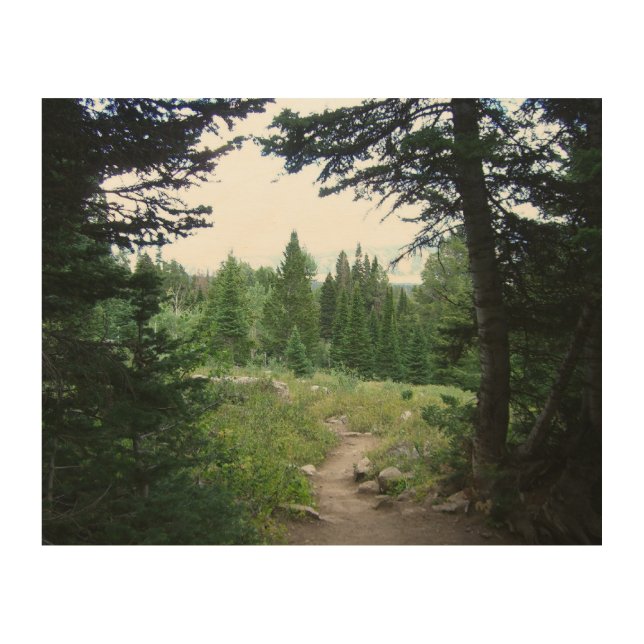 Grand Teton Trail Wood Wall Art (Front)