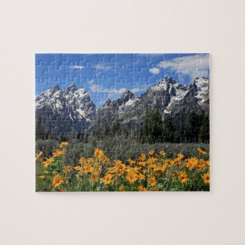 Grand Teton with Yellow Spring Flowers Jigsaw Puzzle