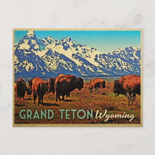 Grand Teton Wyoming Buffalo Postcard