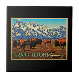 Grand Teton Wyoming Buffalo Tile