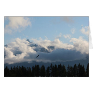 Grand Tetons and hawk Cards