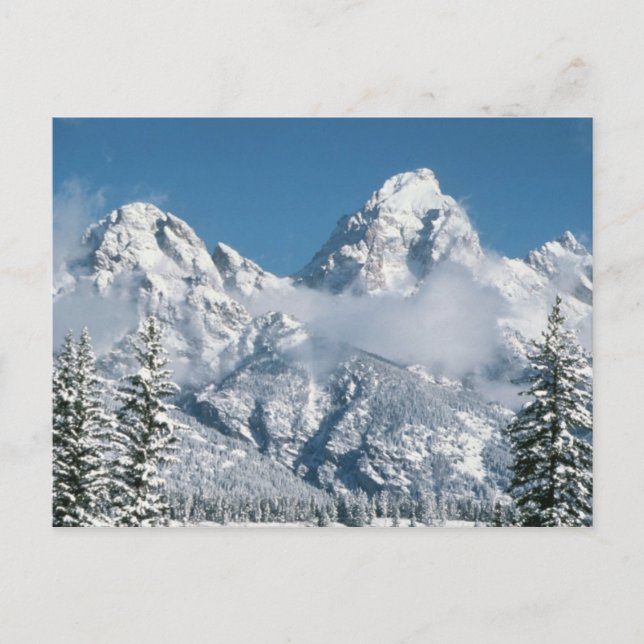 Grand Tetons in Winter Postcard (Front)