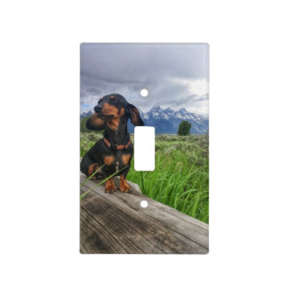 Grand Tetons Light Switch Cover