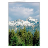 Grand Tetons Park (Front)