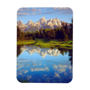 Grand Tetons reflecting in the Snake River Magnet