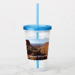 Grand View Point at Canyonlands National Park Acrylic Tumbler