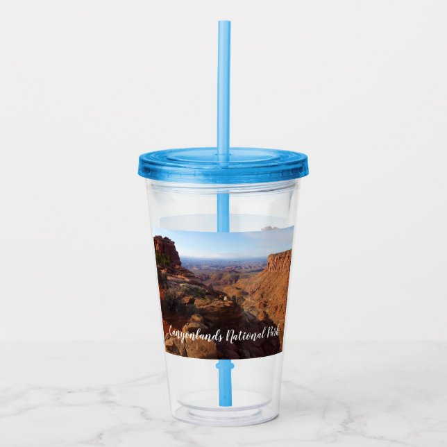 Grand View Point at Canyonlands National Park Acrylic Tumbler (Front)